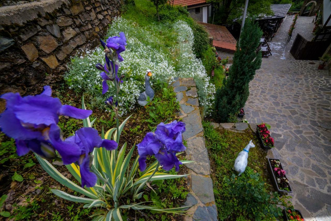 Hotel Manastir Sv. Joakim Osogovski Kriva Palanka Экстерьер фото